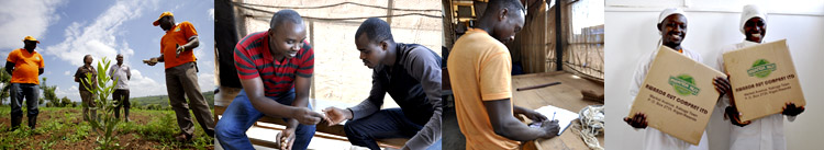 オスティグループ企業理念：私たちは、豊かな大地と全ての生き物たちを大切にし、自然を生かし自然に生かされる想いを持って、安心で美味しい食品を皆様に提供しながら地域社会の発展に貢献します。