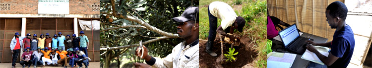 オスティグループの行動規範