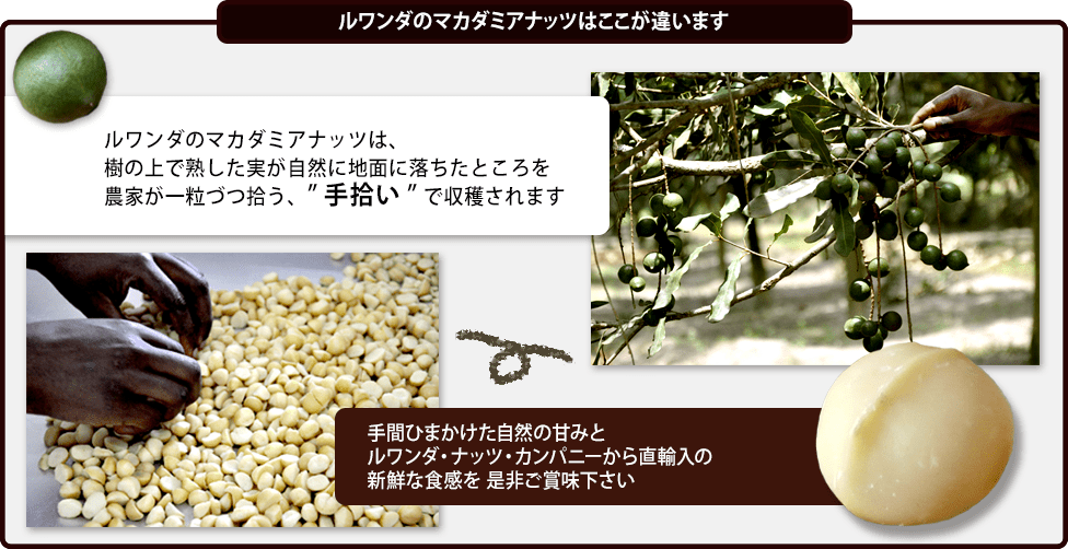 株式会社オスティジャパン